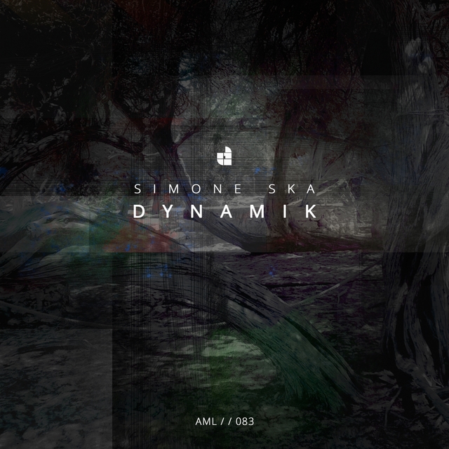 Couverture de Dynamik