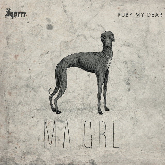 Couverture de Maigre - EP