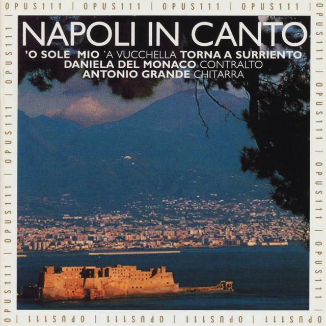 Couverture de Napoli in canto