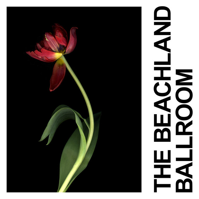 Couverture de The Beachland Ballroom