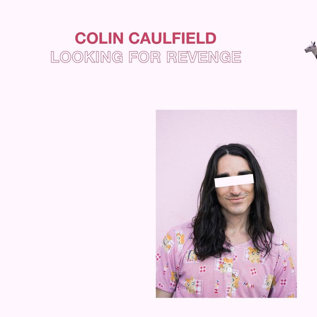 Couverture de Looking For Revenge