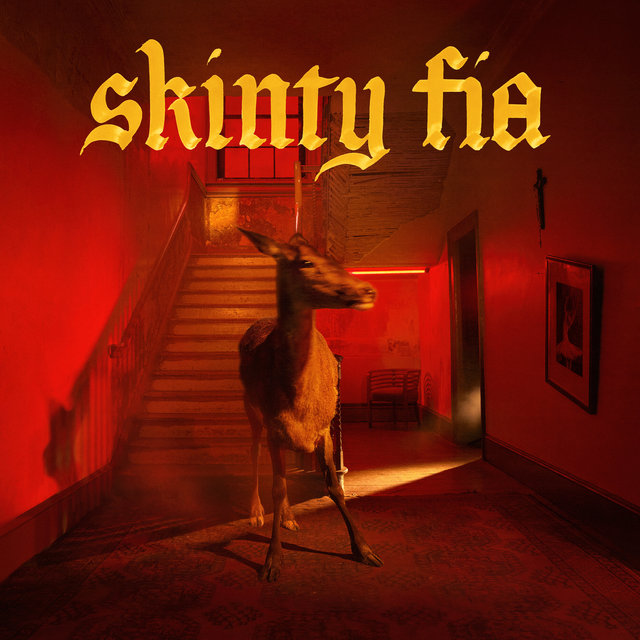 Couverture de Skinty Fia