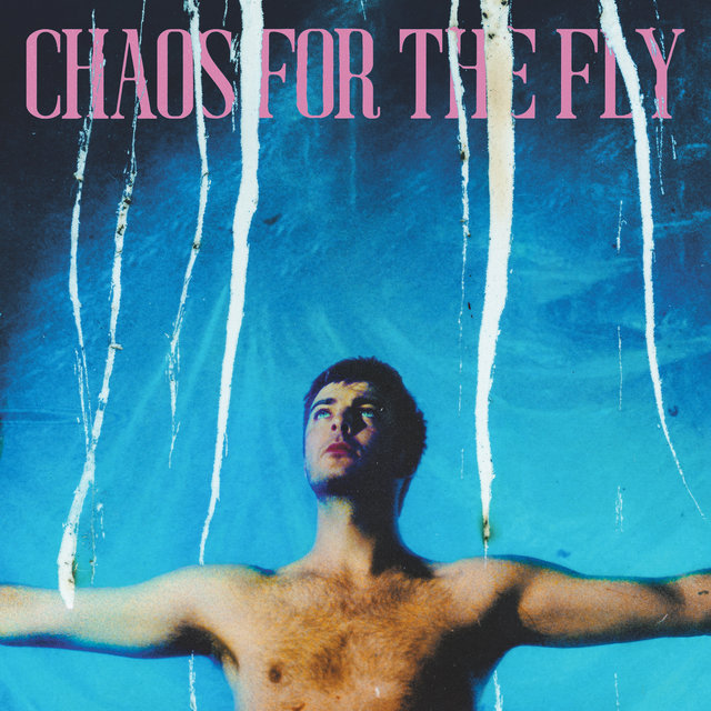 Couverture de Chaos For The Fly