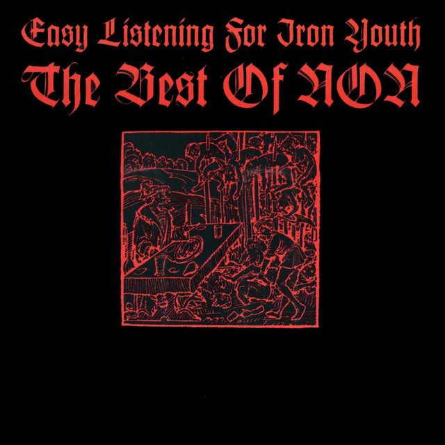 Couverture de Easy Listening for Iron Youth: The Best of Non