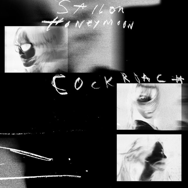 Couverture de Cockroach