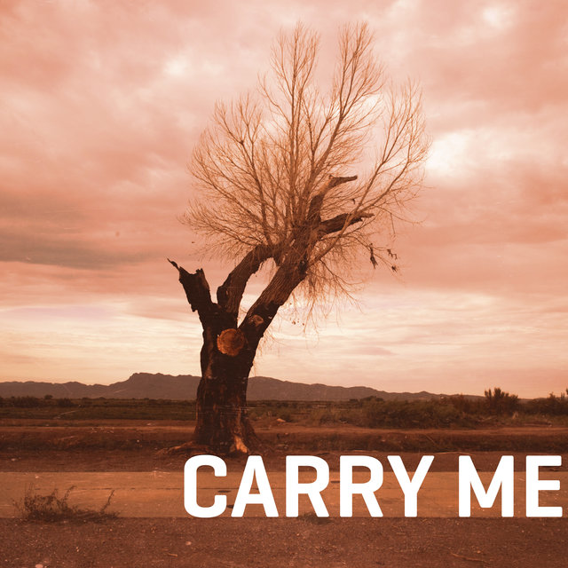 Couverture de Carry Me