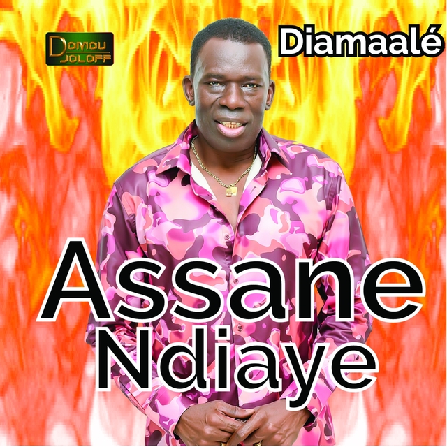 Couverture de Diamaalé