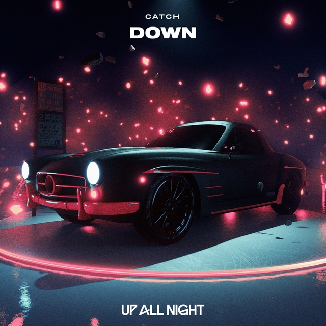 Couverture de Down