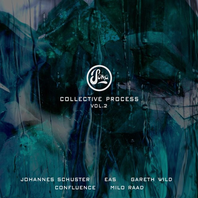 Couverture de Collective Process Vol.2