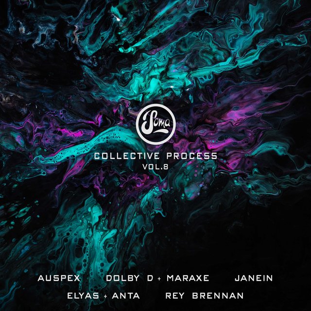 Couverture de Collective Process, Vol. 8