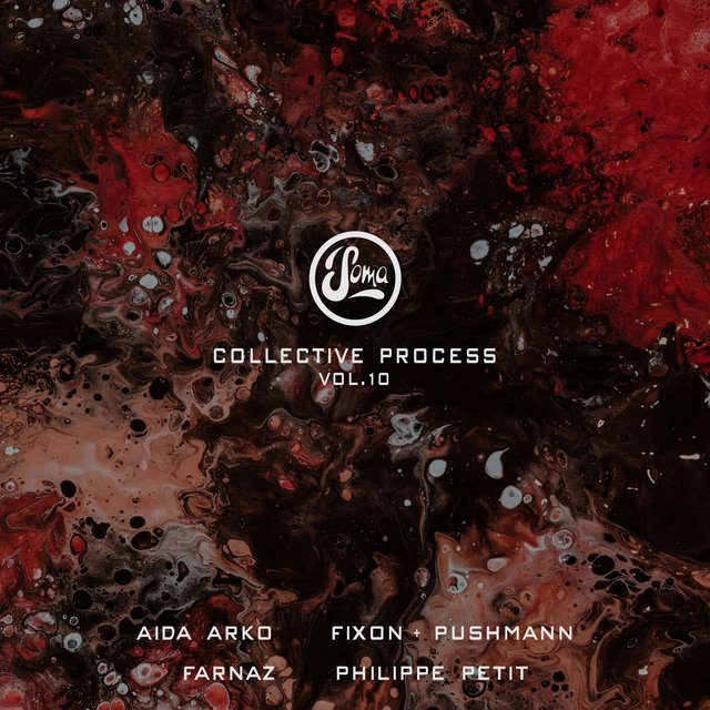 Couverture de Collective Process, Vol. 10