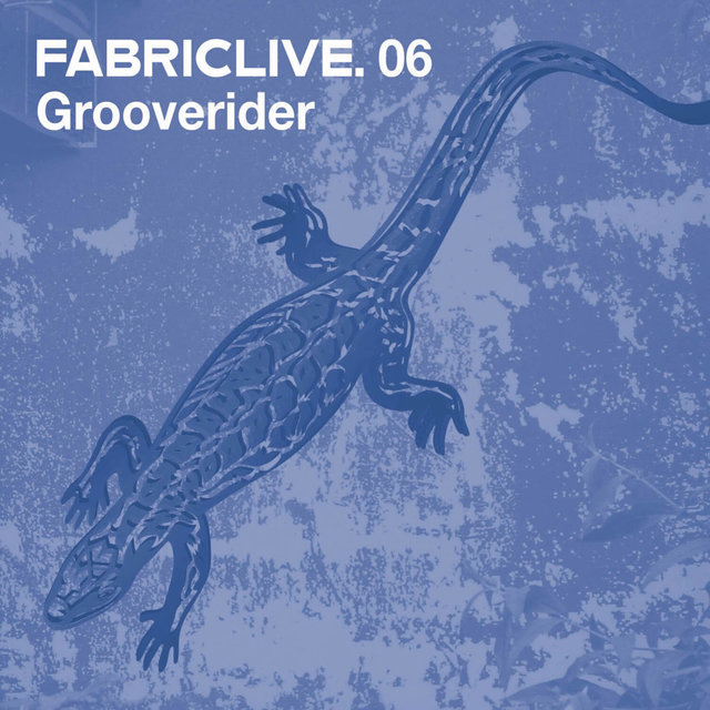 Couverture de FABRICLIVE 06: Grooverider