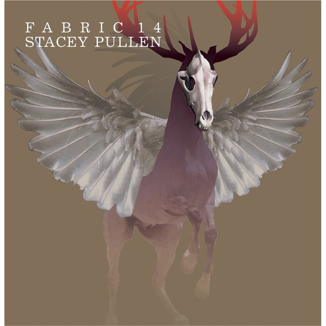 fabric 14: Stacey Pullen