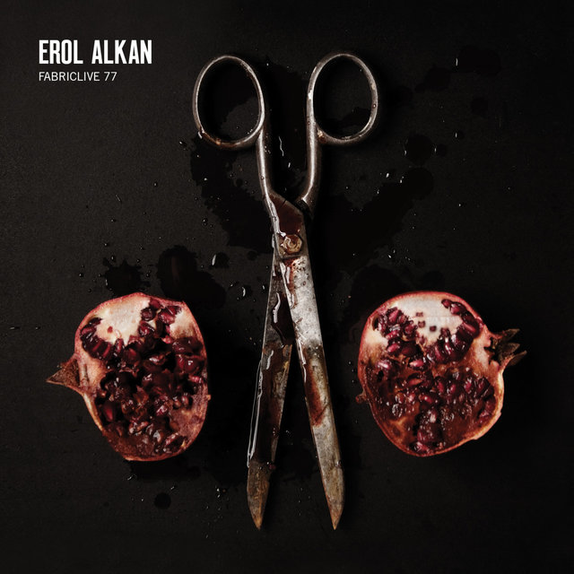 Couverture de FABRICLIVE 77: Erol Alkan