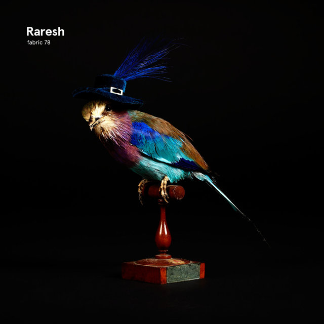 Couverture de fabric 78: Raresh