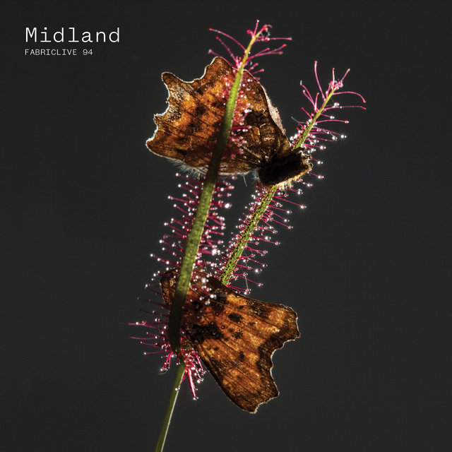 Couverture de FABRICLIVE 94: Midland