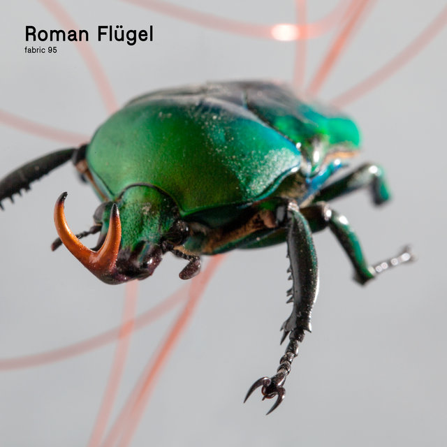 Couverture de fabric 95: Roman Flügel