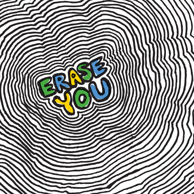 Couverture de Erase You