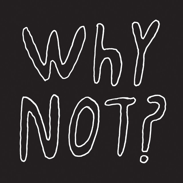 Couverture de Why Not?