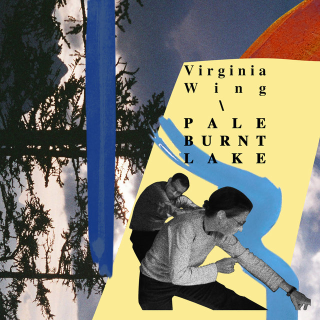 Couverture de Pale Burnt Lake