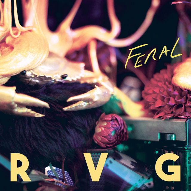 Couverture de Feral