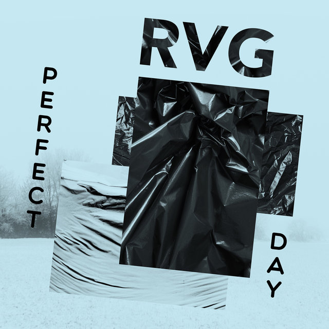 Couverture de Perfect Day