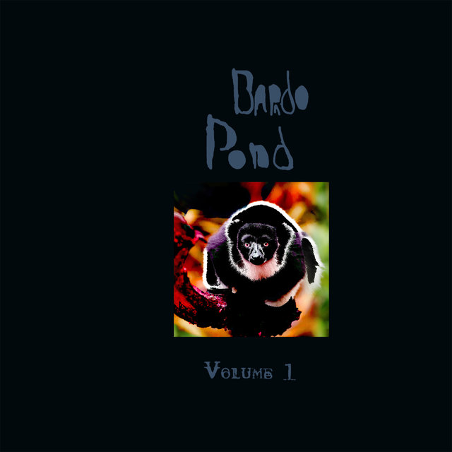 Bardo Pond, Vol. 1