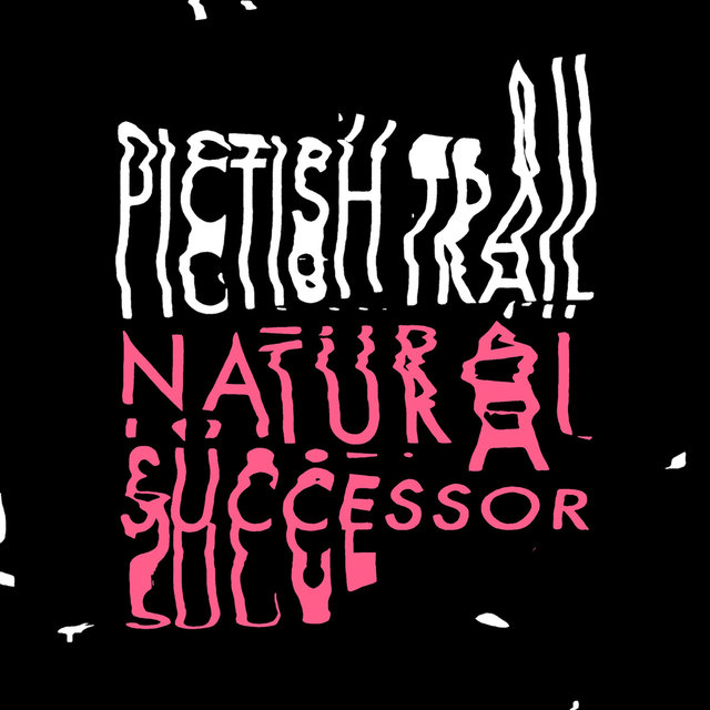 Natural Successor