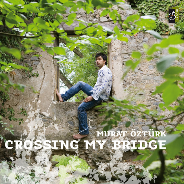 Couverture de Crossing My Bridge