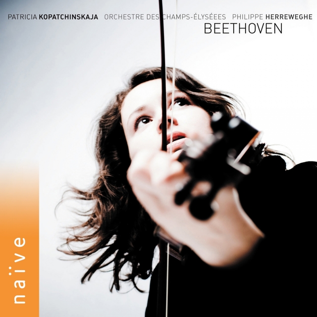 Couverture de Beethoven: Complete Works for Violin and Orchestra