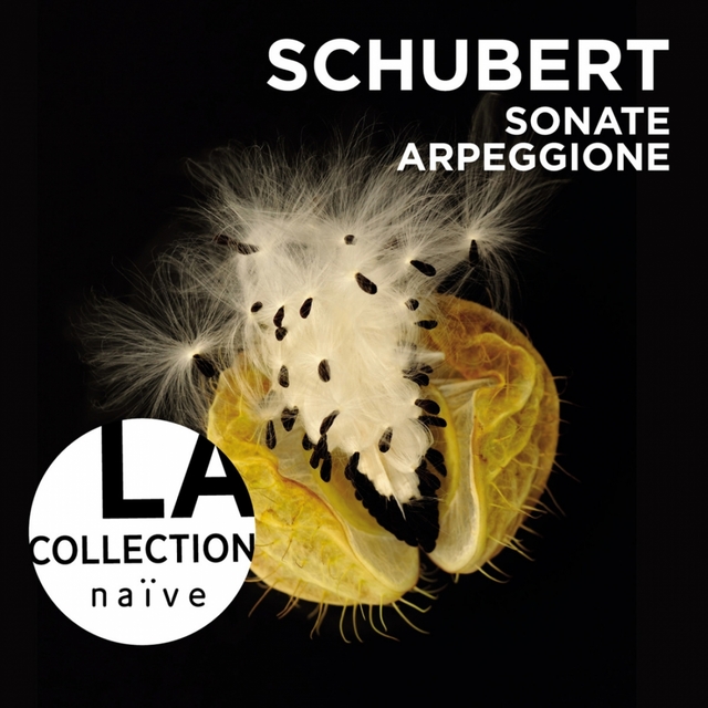 Schubert: Sonate Arpeggione