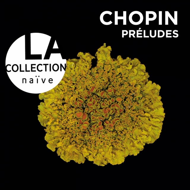 Couverture de Chopin: Préludes