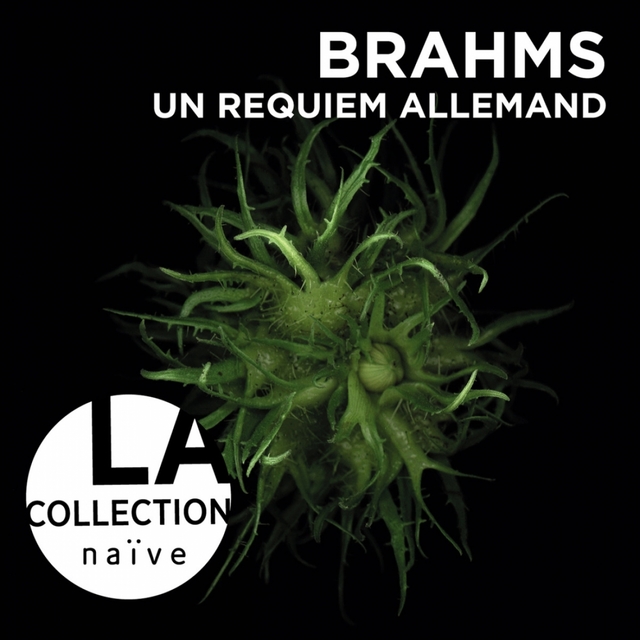 Couverture de Brahms: Un requiem allemand, Op. 45