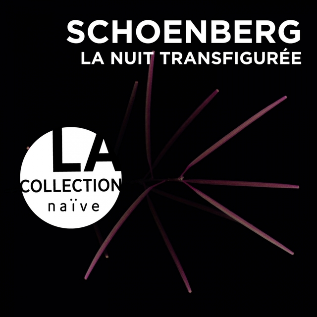 Couverture de Schoenberg: Nuit transfigurée