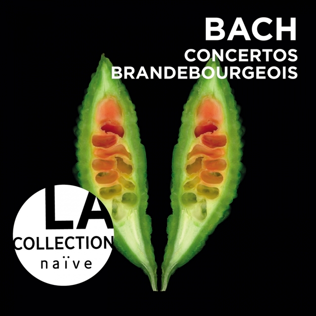 Bach: Brandenburg Concertos