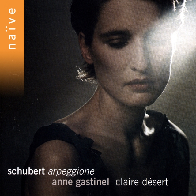 Couverture de Schubert: Arpeggione, Sonatina & Lieder Transcriptions