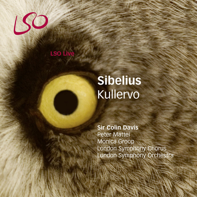 Couverture de Sibelius: Kullervo