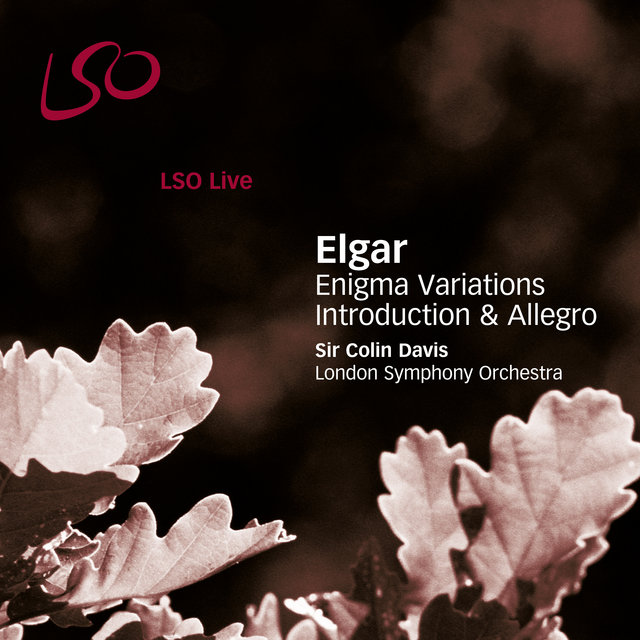 Couverture de Elgar: Enigma Variations, Introduction & Allegro