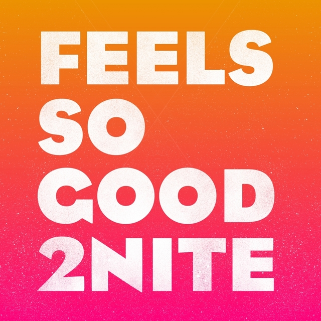 Couverture de Feels so Good 2Nite