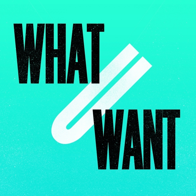 Couverture de What U Want