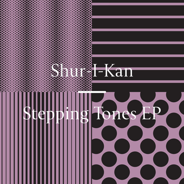 Couverture de Stepping Tones