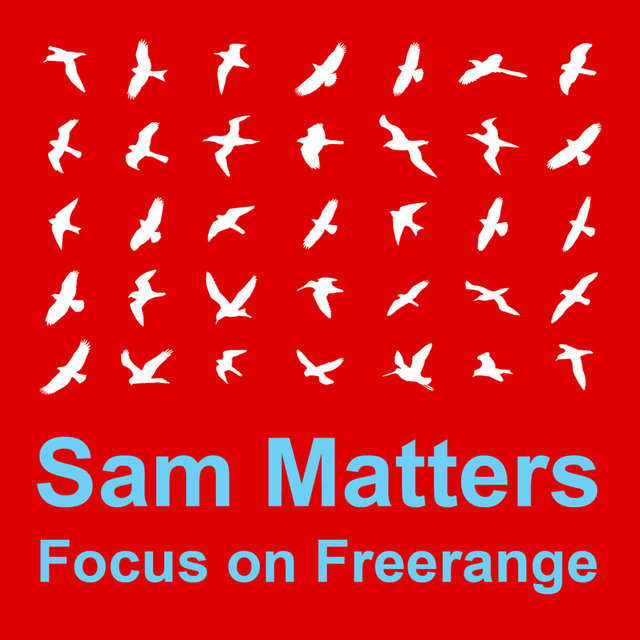 Couverture de Focus On : Freerange Sam Matters