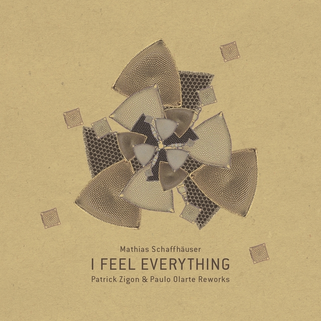 Couverture de I Feel Everything