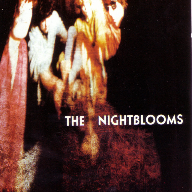 Couverture de The Nightblooms