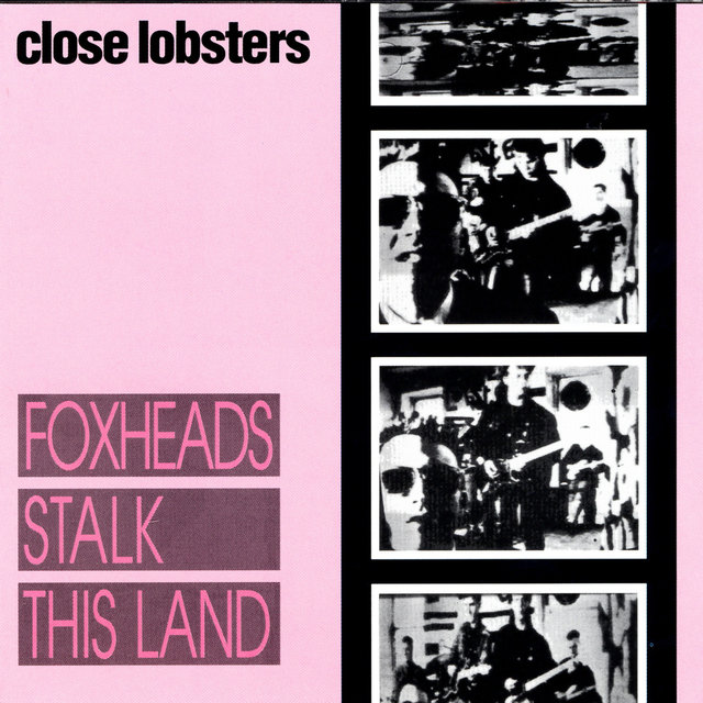 Couverture de Foxheads Stalk This Land