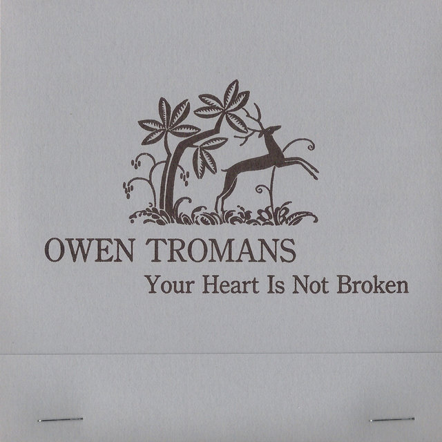 Couverture de Your Heart Is Not Broken