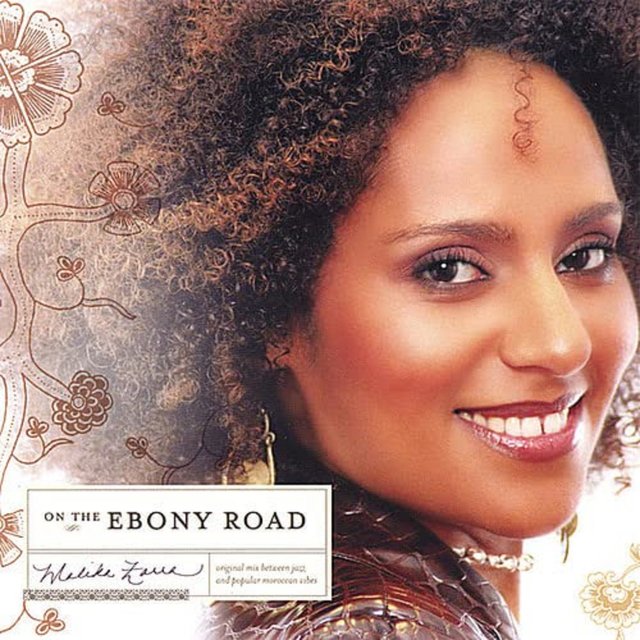 Couverture de On the Ebony Road