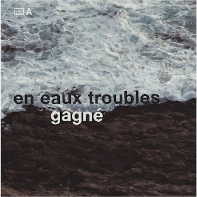 Couverture de En eaux troubles