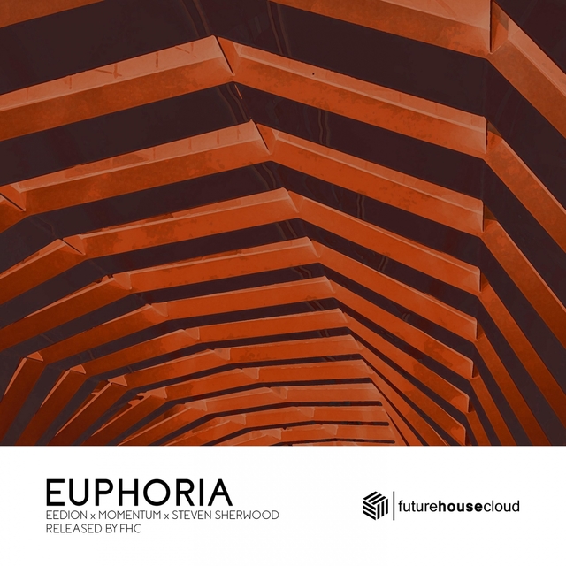 Couverture de Euphoria