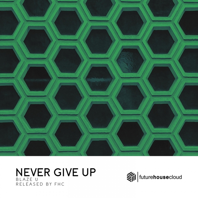 Couverture de Never Give Up